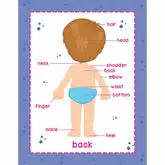 FLAP - My Body - My First Pre-school Book